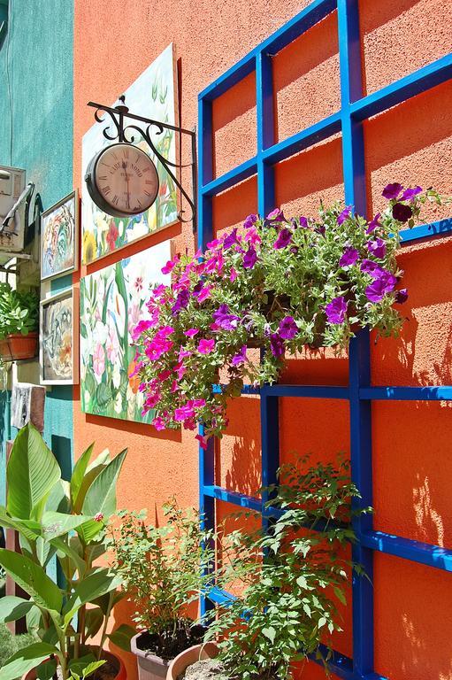 Guest House Vida Βελιγράδι Εξωτερικό φωτογραφία